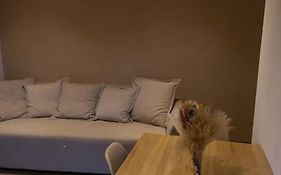 Superbe appartement Fabrégas